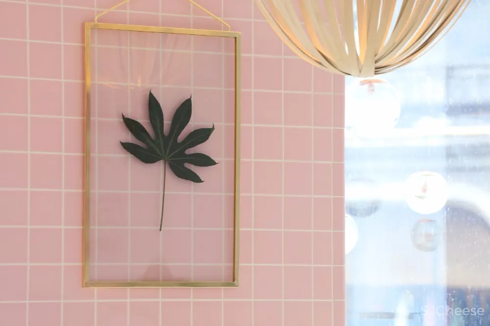 容德医馆：自然原色的本草宣言