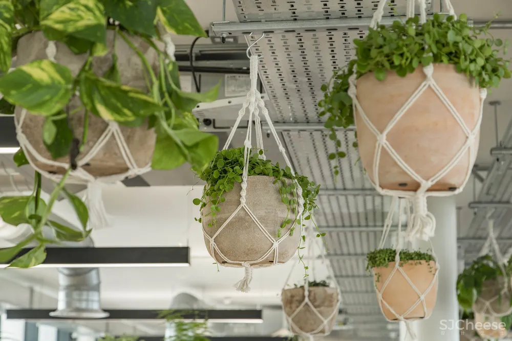 Peldon Rose | 伦敦Jacada Travel旅游公司办公室