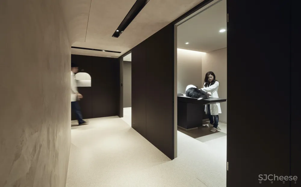 带毛孩去洞窟看医生！唤醒动物原始记忆的新型态医院 觉知造所