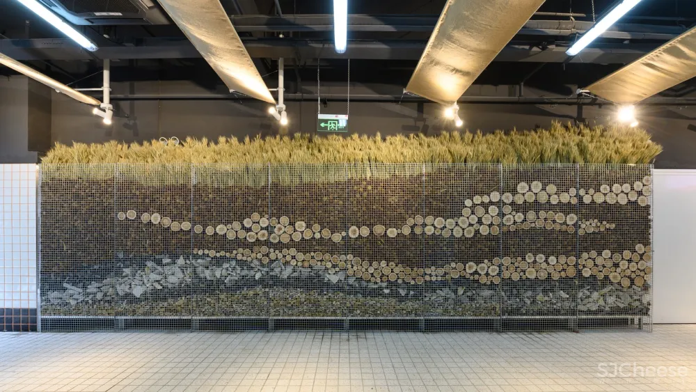 裸筑更新 | 巨鹿集团永年菜场