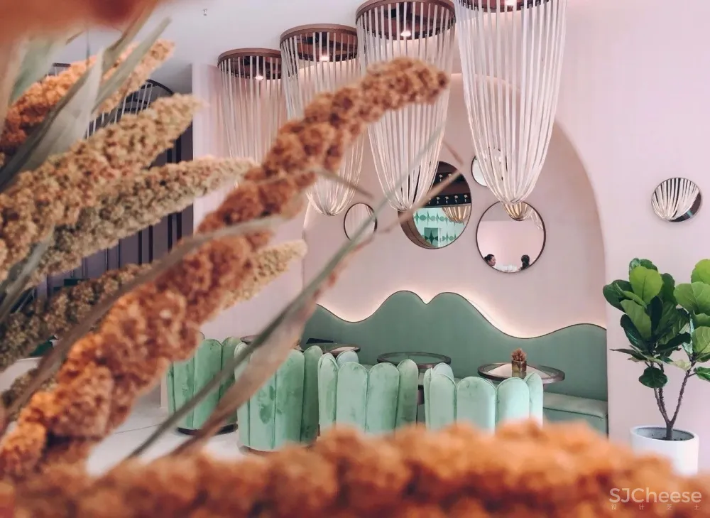 容德医馆：自然原色的本草宣言