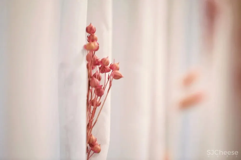 容德医馆：自然原色的本草宣言