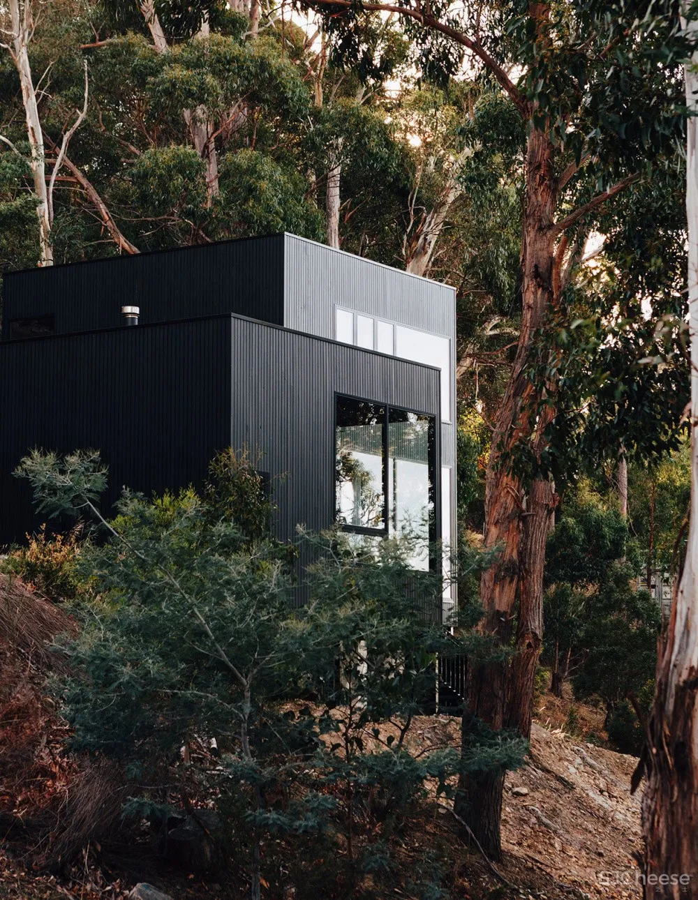 首发 | 建筑师Murray Barke与Lauren Bamford,一座摄影师的简约住宅 
<span style="position: relative; bottom: 2px; display: inline-block; vertical-align: middle; margin-left: 8px; width: 20px; height: 20px; background: #ffd914; text-align: center; font-size: 14px; border-radius: 3px;">首</span>