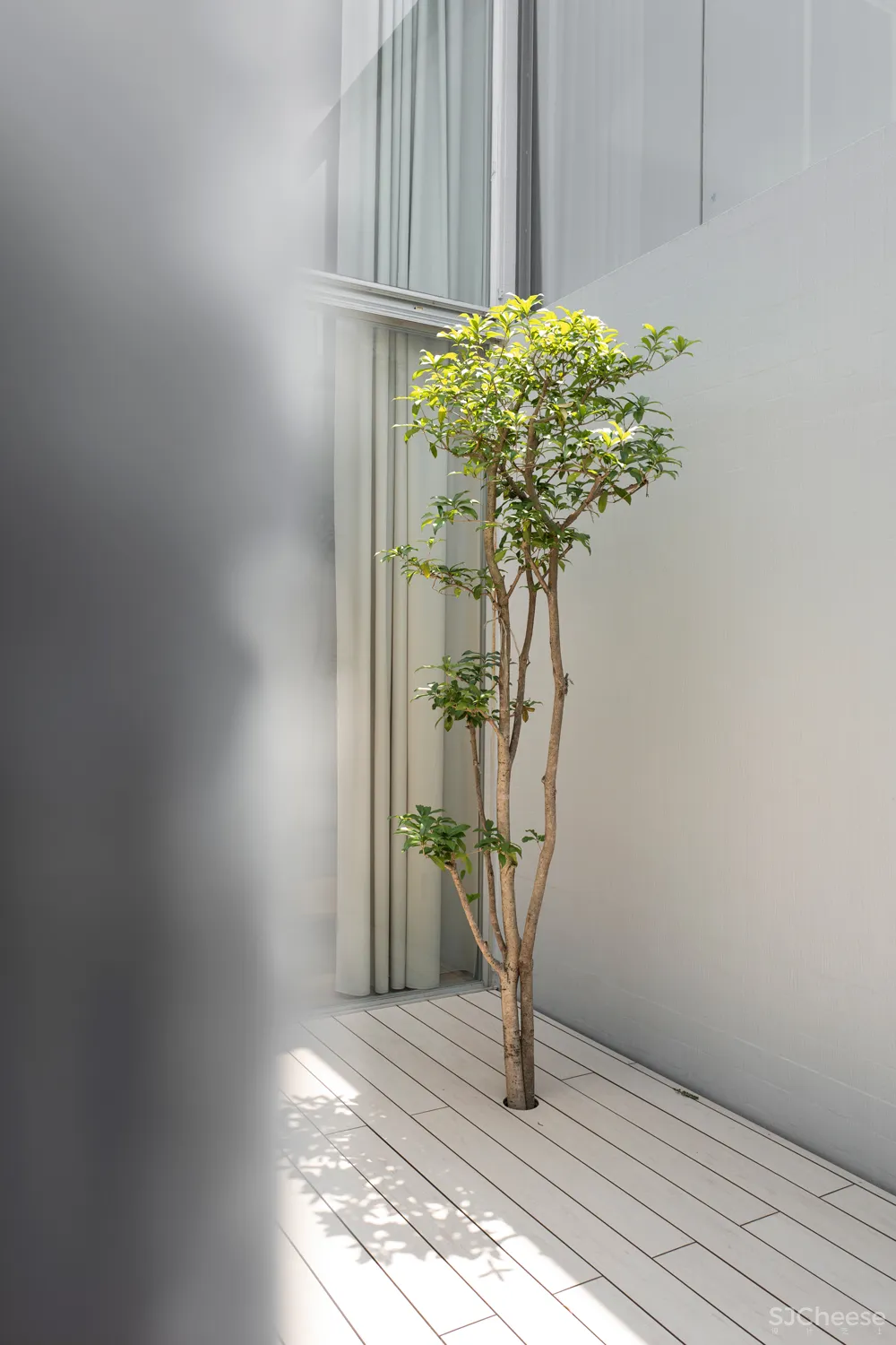 Keiji Ashizawa＋Norm | 东京Kinuta花园住宅