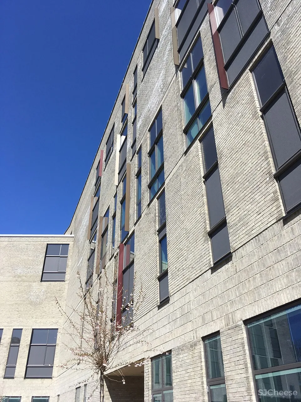 Holstebro健康中心,丹麦 / Arkitema Architects