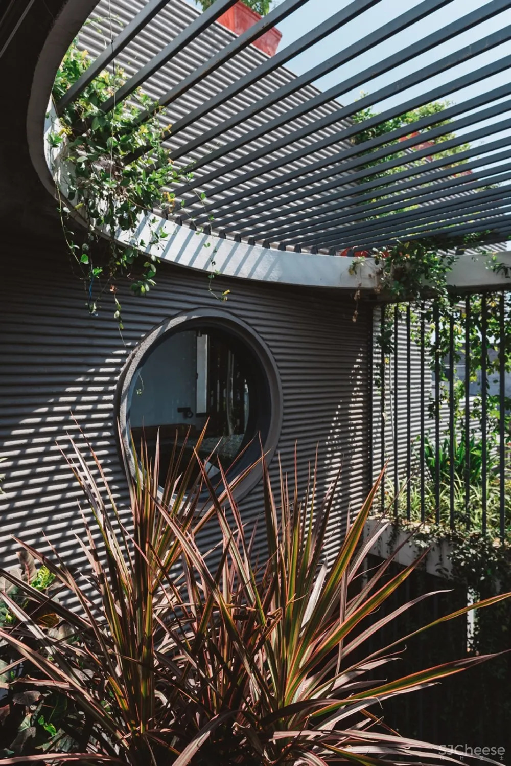 首发 | Neogenesis + Studi0261,Jungalow简约住宅