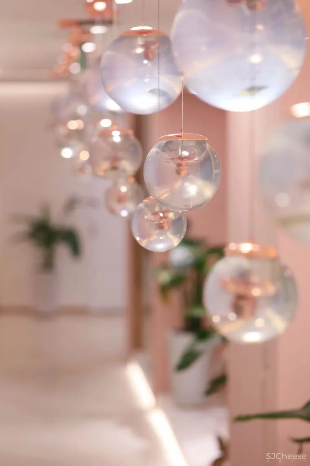 容德医馆：自然原色的本草宣言