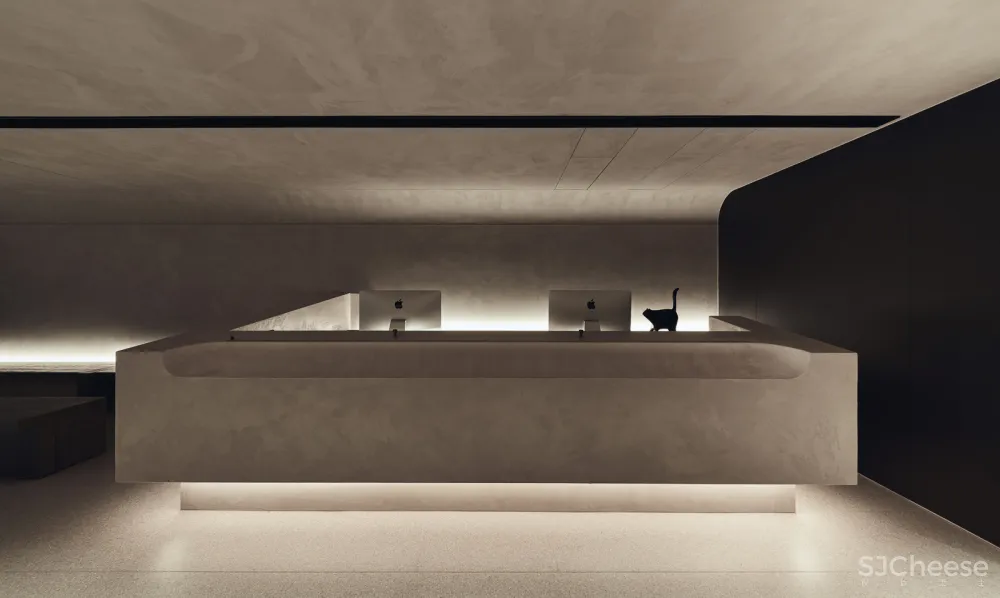 带毛孩去洞窟看医生！唤醒动物原始记忆的新型态医院 觉知造所