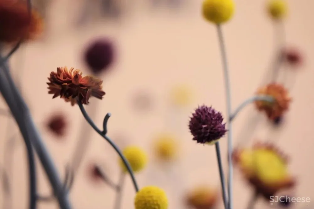 容德医馆：自然原色的本草宣言