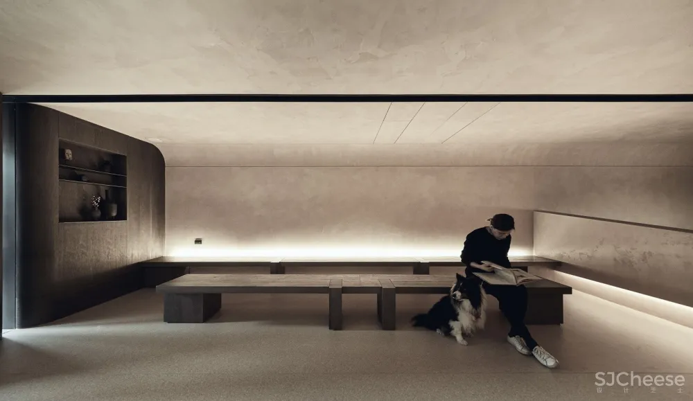 带毛孩去洞窟看医生！唤醒动物原始记忆的新型态医院 觉知造所