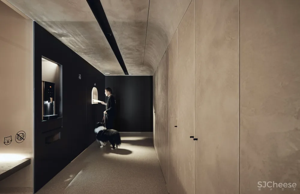 带毛孩去洞窟看医生！唤醒动物原始记忆的新型态医院 觉知造所