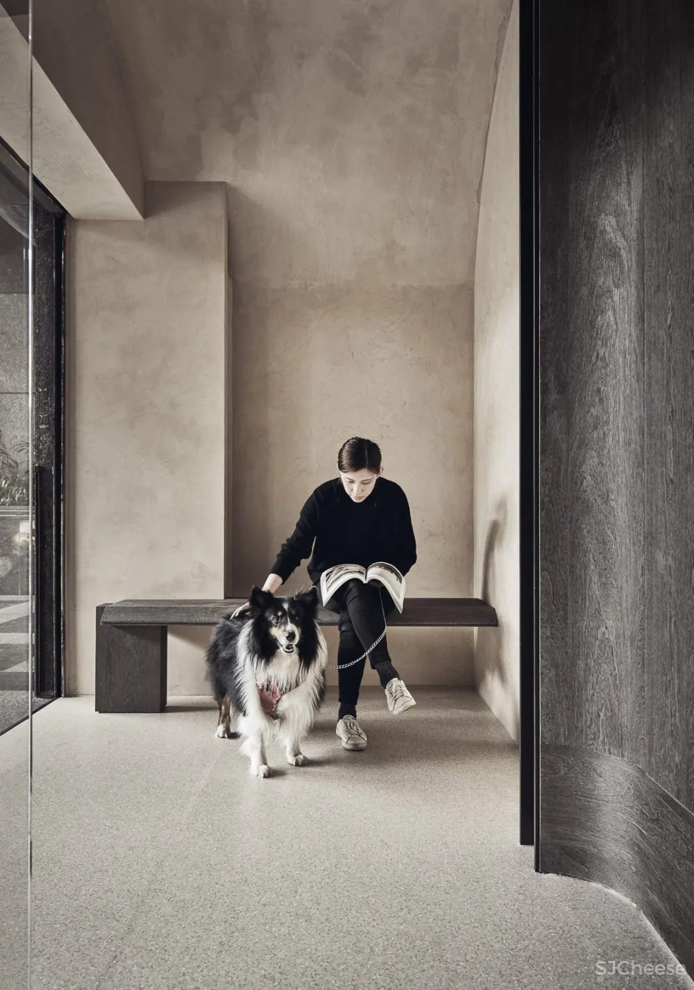 带毛孩去洞窟看医生！唤醒动物原始记忆的新型态医院 觉知造所