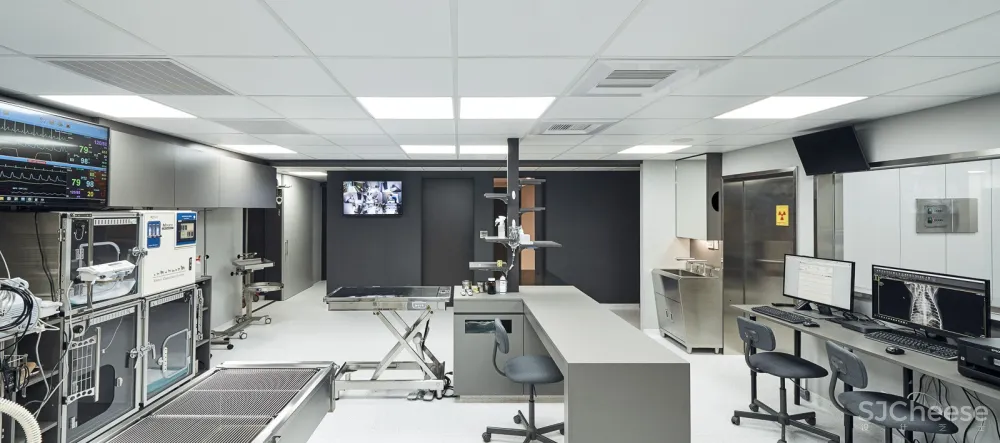 带毛孩去洞窟看医生！唤醒动物原始记忆的新型态医院 觉知造所