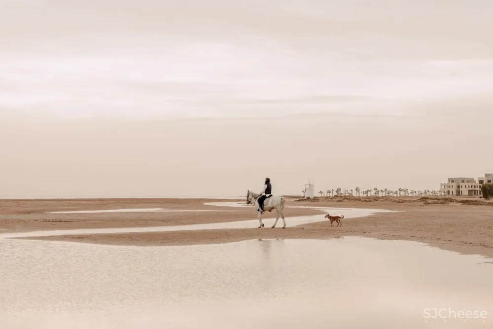 Fat Tony | Casa Cook El Gouna , 古朴的侘寂美学