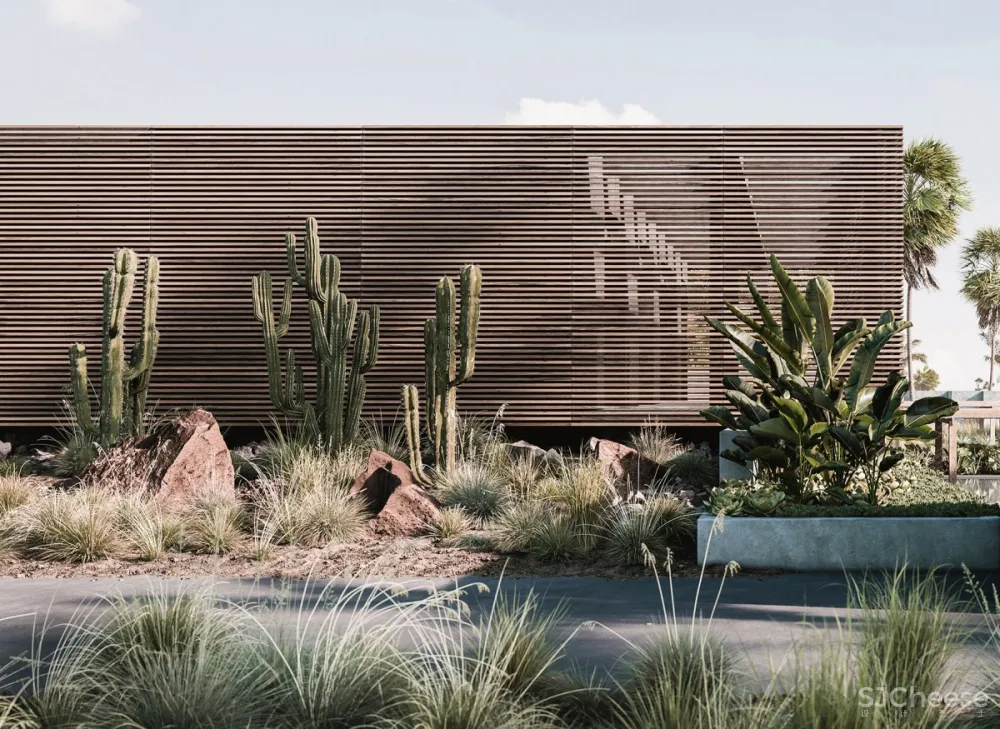 Fat Tony | Casa Cook El Gouna , 古朴的侘寂美学