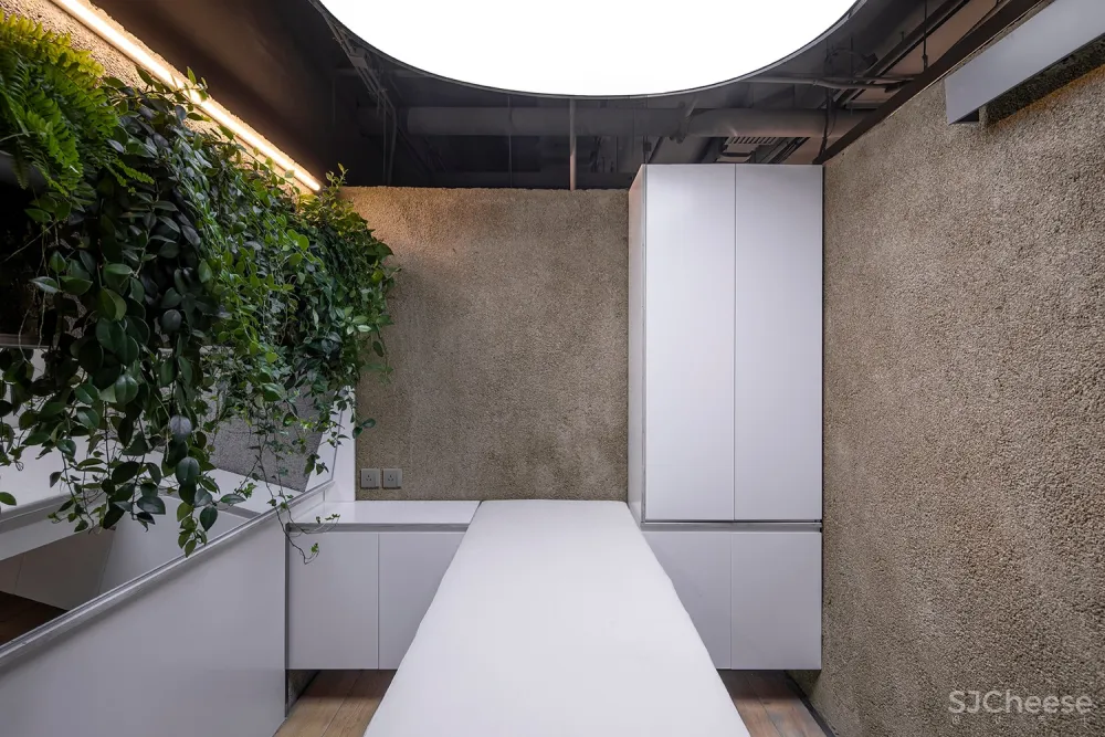 新作 | VAN ROU 毛发科技 / 阿穆隆设计工作室