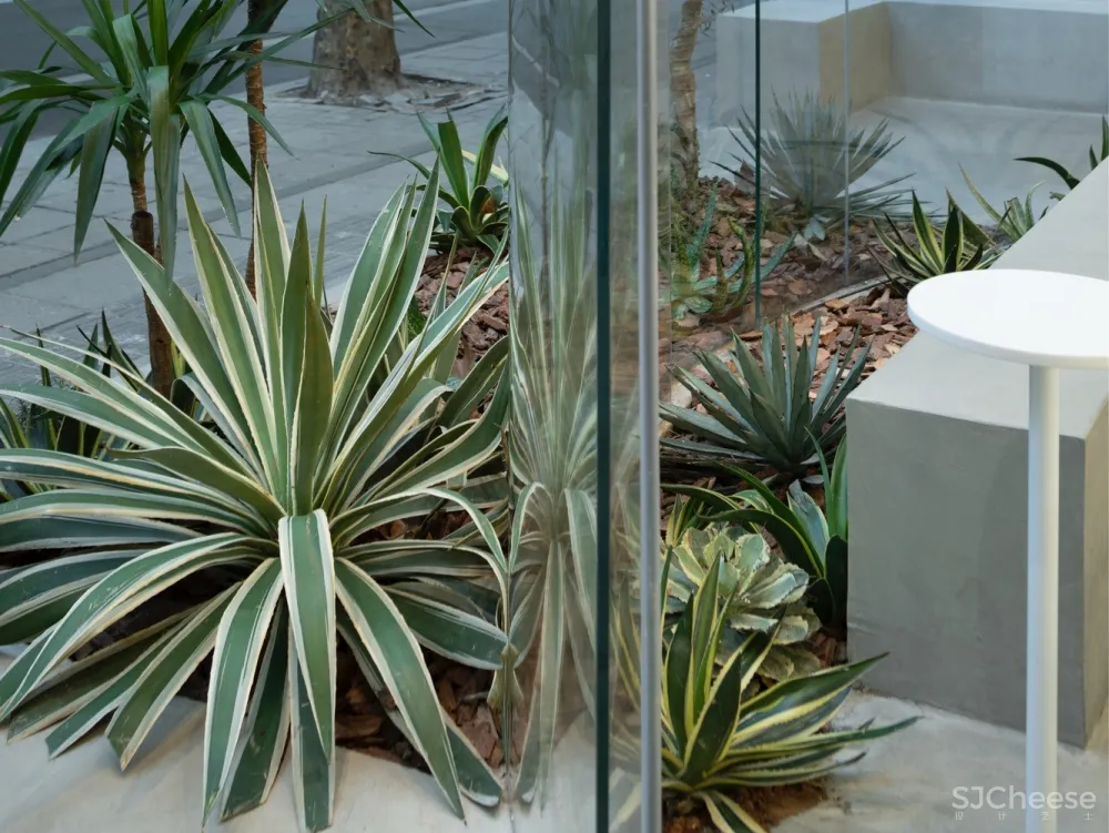 %Arabica，上海建国西路店 / B.l.U.E. Architecture Studio