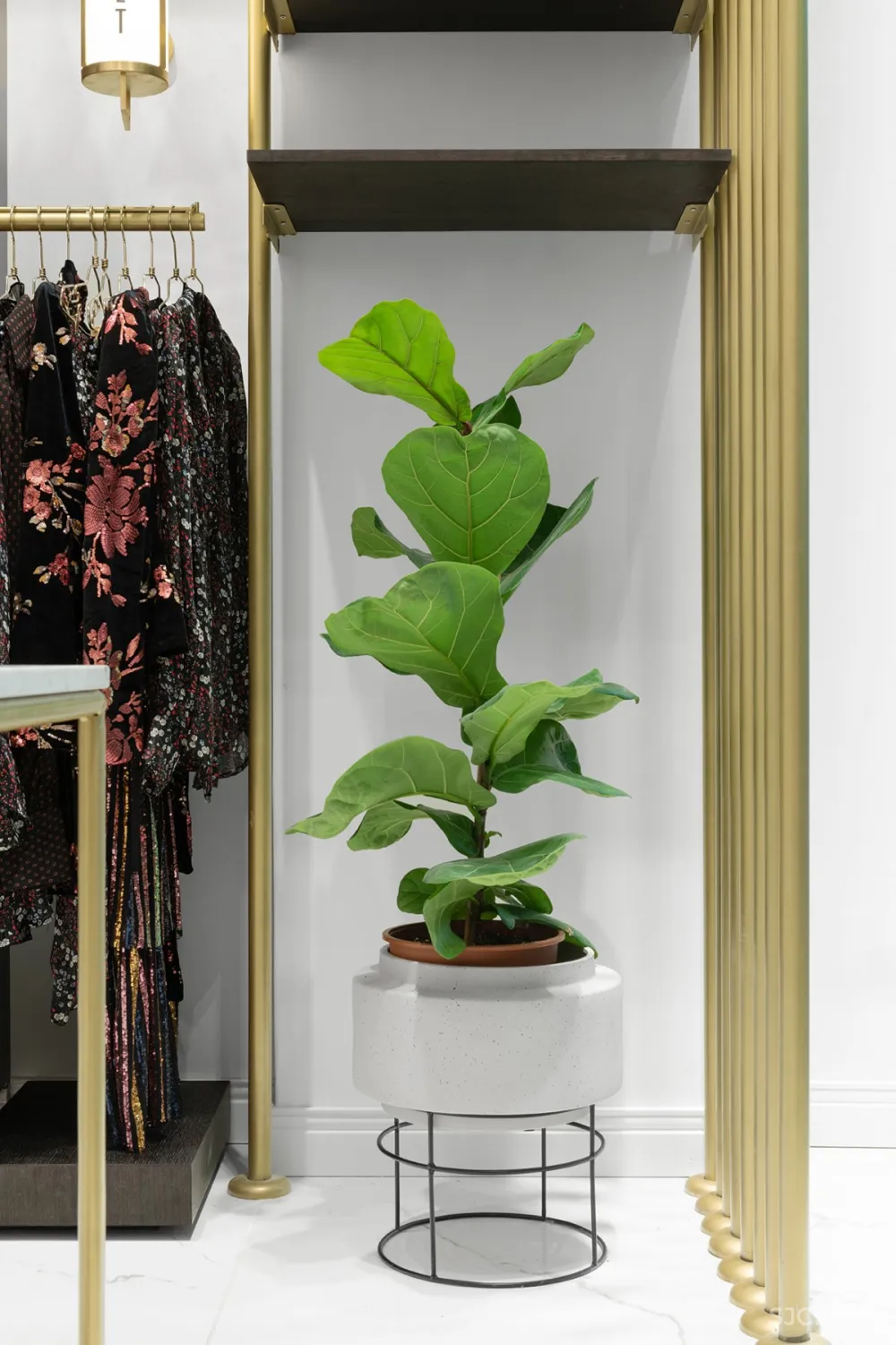 Studio ETN | VSPS2 , 现代典型的时尚商店