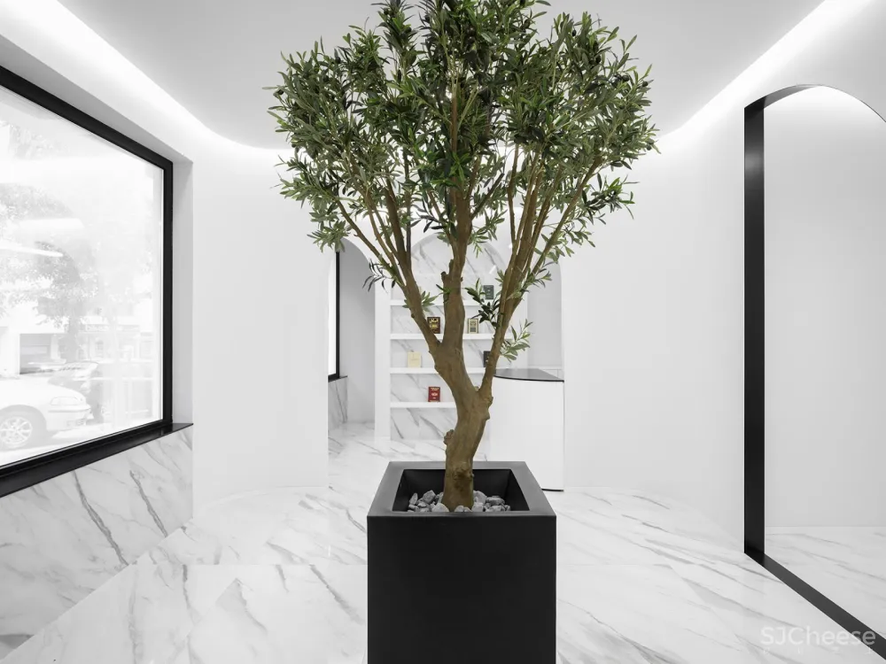 新作 | 葡萄牙 Colinas do Cruzeiro伊斯兰文化中心