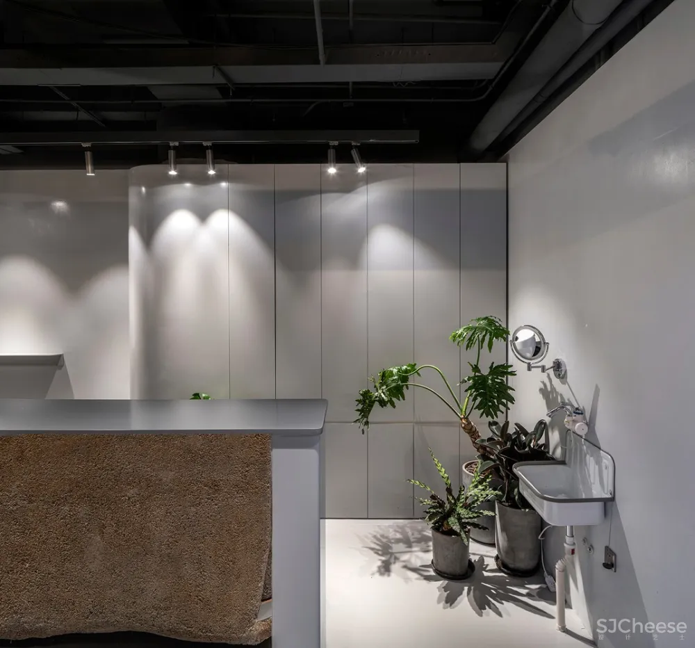 新作 | VAN ROU 毛发科技 / 阿穆隆设计工作室