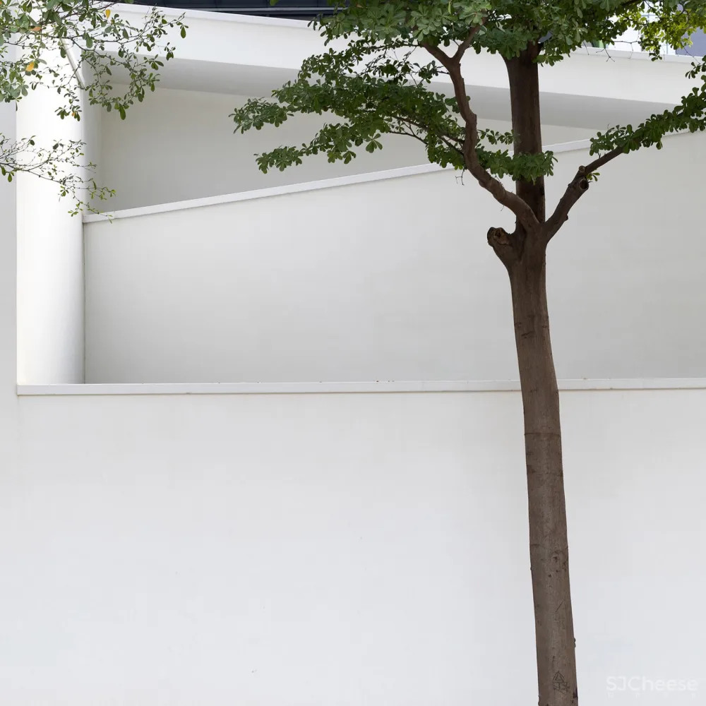 生活美学馆,深圳 / 墨照建筑设计事务所