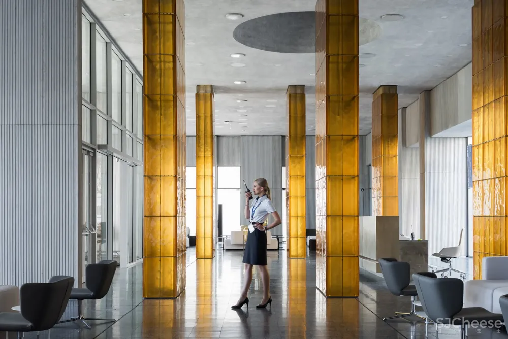 Nefa Architects | 俄罗斯 Platov机场贵宾航站楼