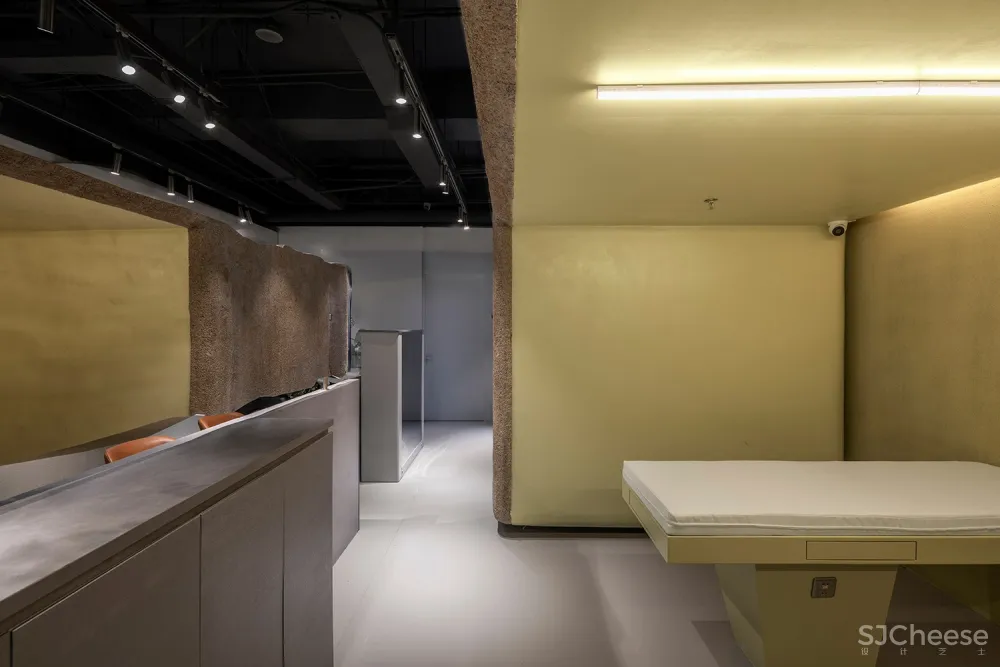 新作 | VAN ROU 毛发科技 / 阿穆隆设计工作室