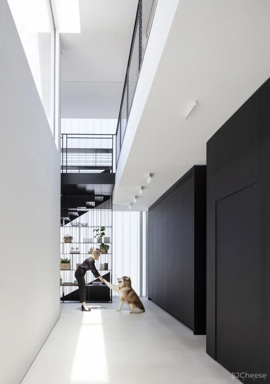 Pitsou Kedem | JLB House , 现代复式建筑