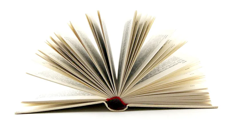 2019年中国最美书店——覔书店·与城市共成长 靳刘高设计