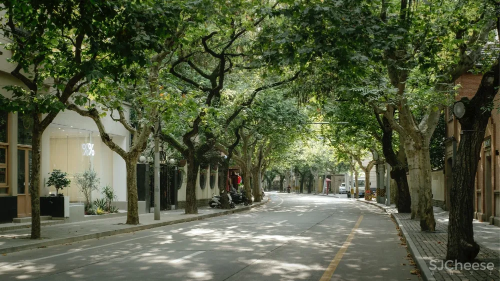 %Arabica，上海建国西路店 / B.l.U.E. Architecture Studio