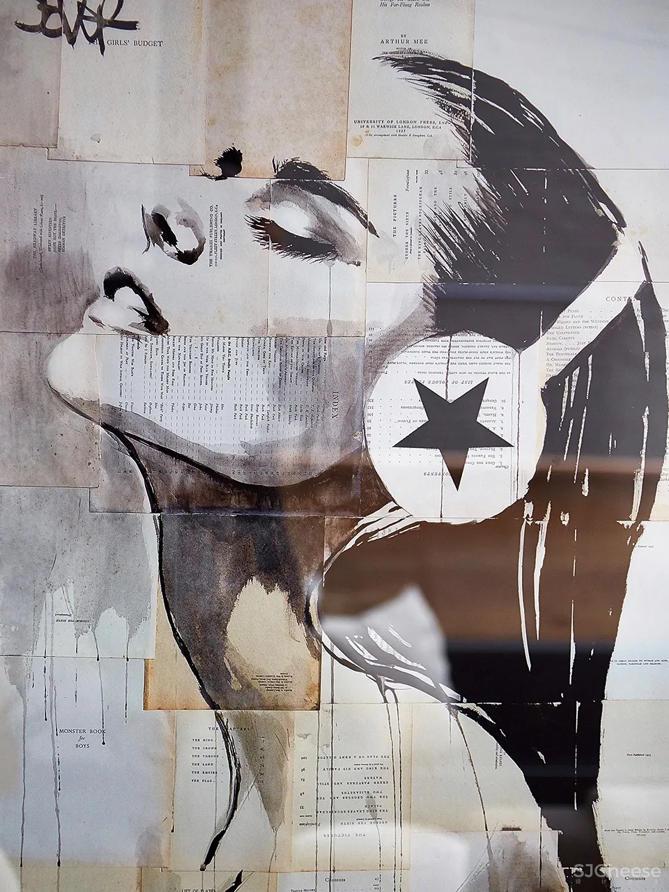 Euclid住宅，多伦多 / Ancerl Studio