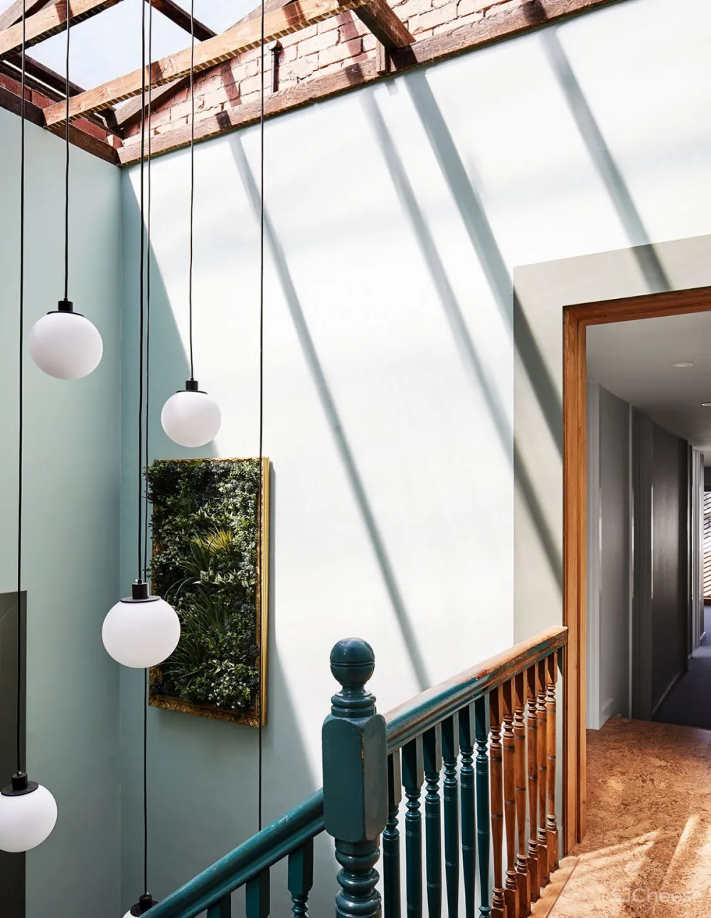 Tsai Design | Violin Shop , 墨尔本充满阳光的温馨住宅