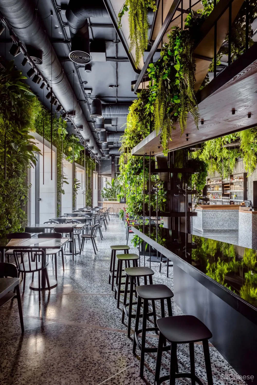 Maxim Rymar | Orangery Restaurant , 建筑与自然的情感交融