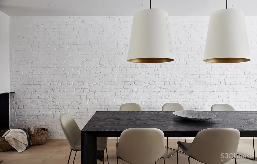 Euclid住宅，多伦多 / Ancerl Studio