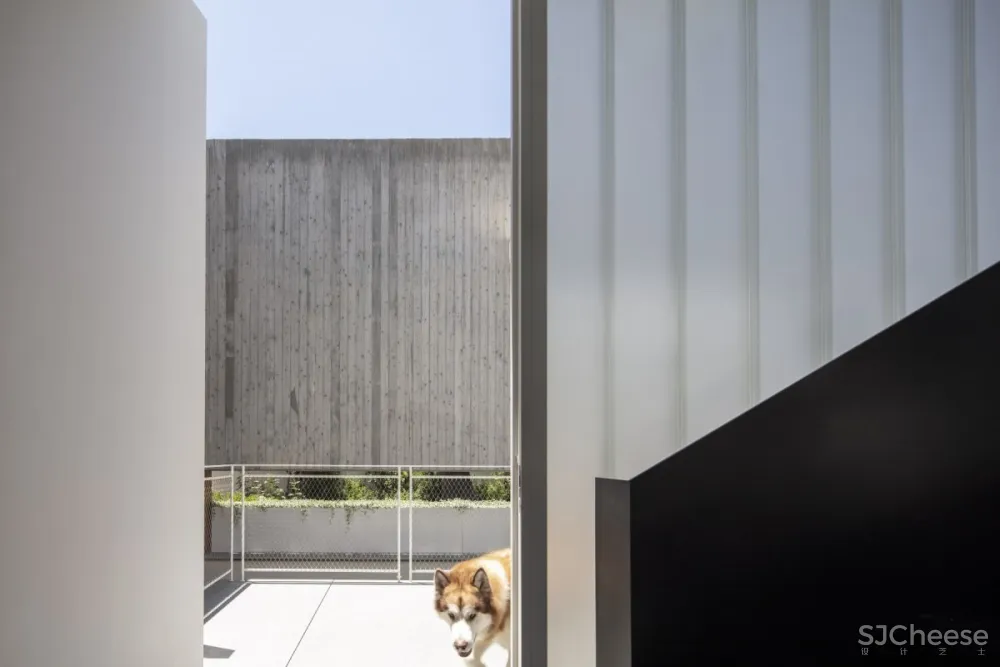 Pitsou Kedem | JLB House , 现代复式建筑