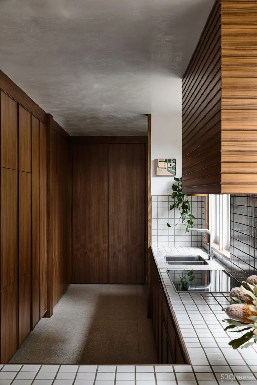 David Flack & Simone Haag | Pettigrew Boyd , 典型现代主义住宅