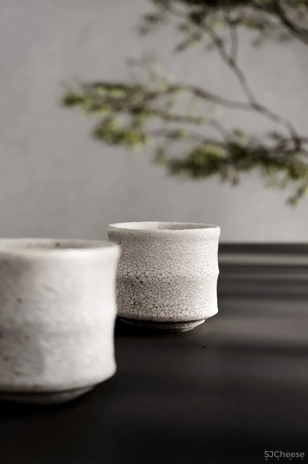 Klaudia Adamiak | IV Residence , 大自然与建筑的平行力量