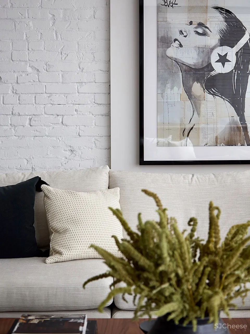 Euclid住宅，多伦多 / Ancerl Studio