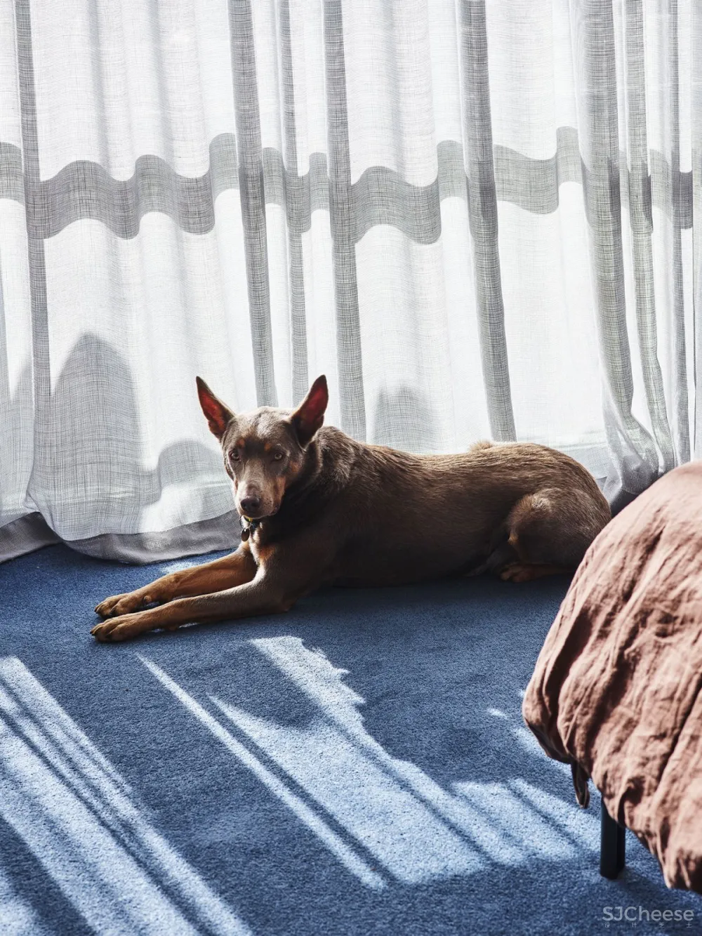 David Flack | Caulfield North , 奢华和克制