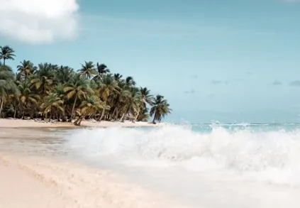 【艺鼎新作·椰客】清新·自然·时尚·轻奢,这个椰子鸡餐厅又潮又酷!