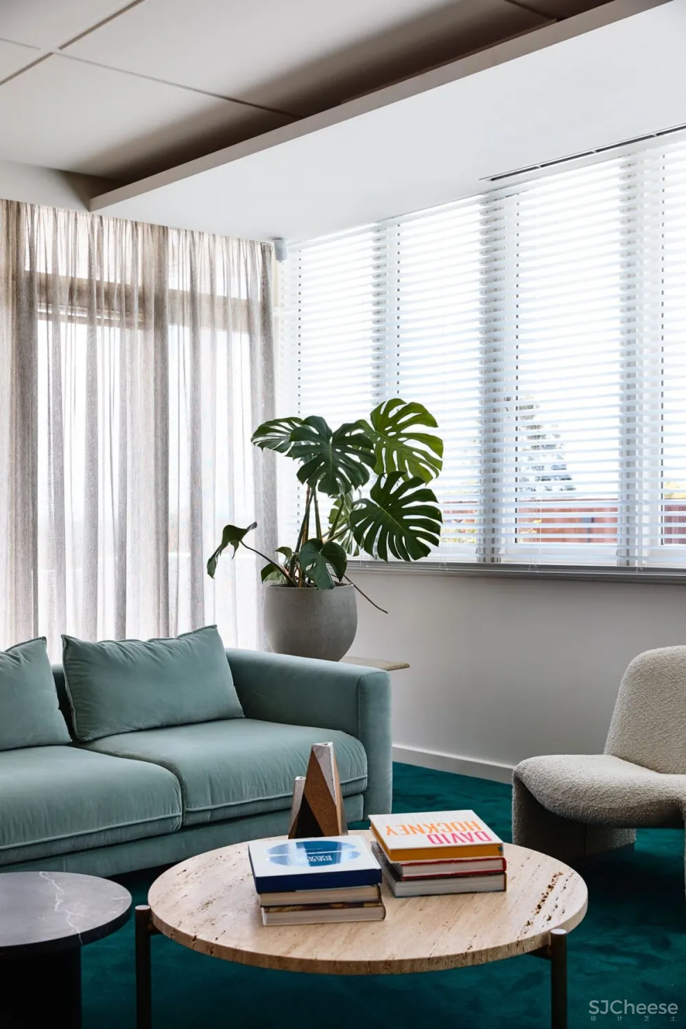 David Flack & Simone Haag | Pettigrew Boyd , 典型现代主义住宅