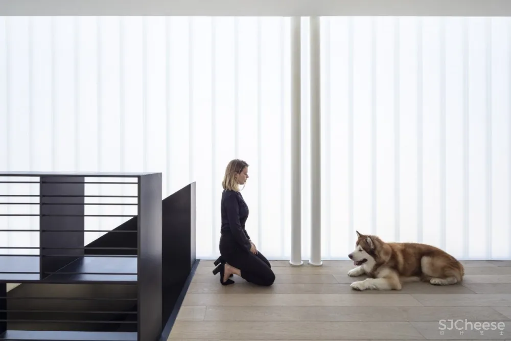 Pitsou Kedem | JLB House , 现代复式建筑