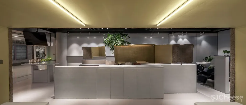 新作 | VAN ROU 毛发科技 / 阿穆隆设计工作室