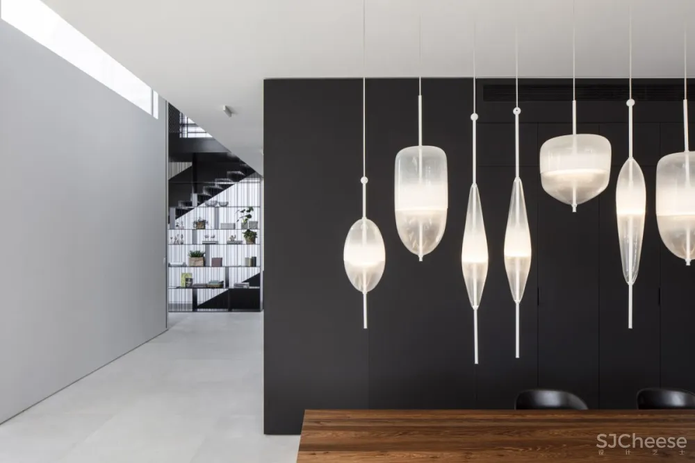 Pitsou Kedem | JLB House , 现代复式建筑