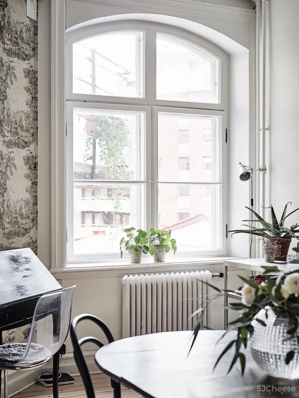 绿植点亮斯堪的纳维亚灰色空间,让你的家焕然一新!