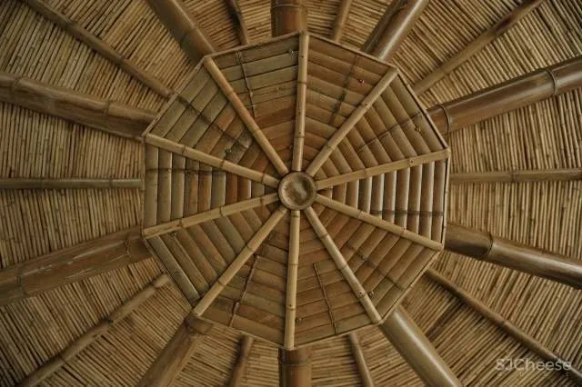 吕晓辉民宿代表作 如何打造理想主义向往的品质活力乡村?