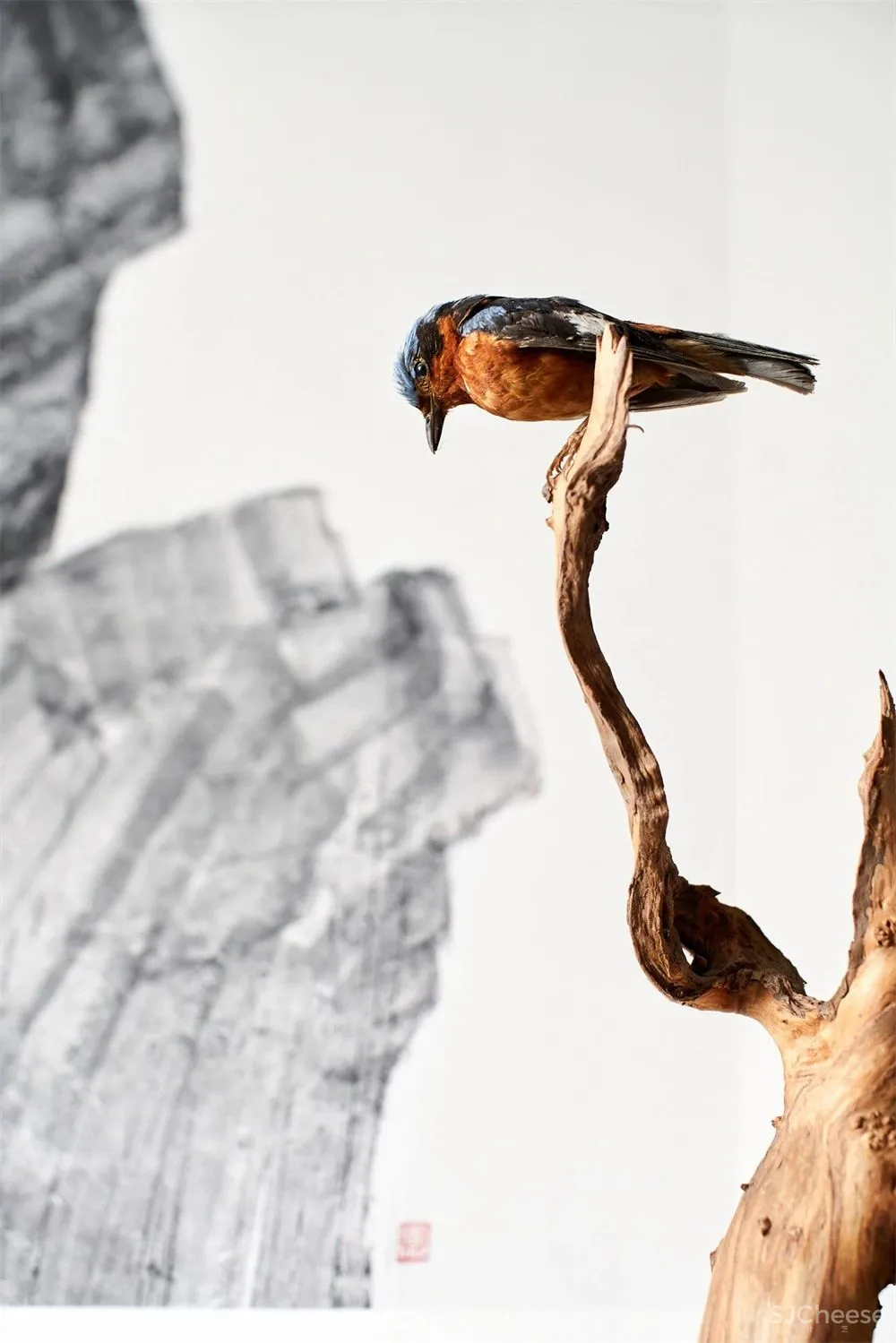 无 间 设 计:被光定格的艺术!