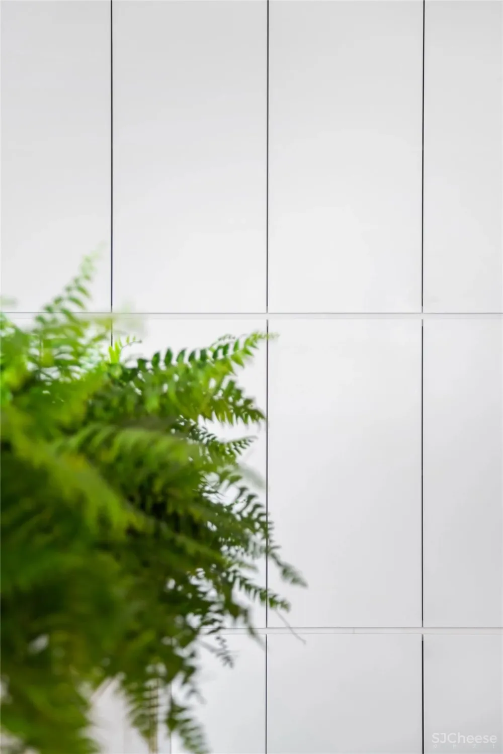 YuQiang - Partners 新作 3600㎡综合性商业地产办公室