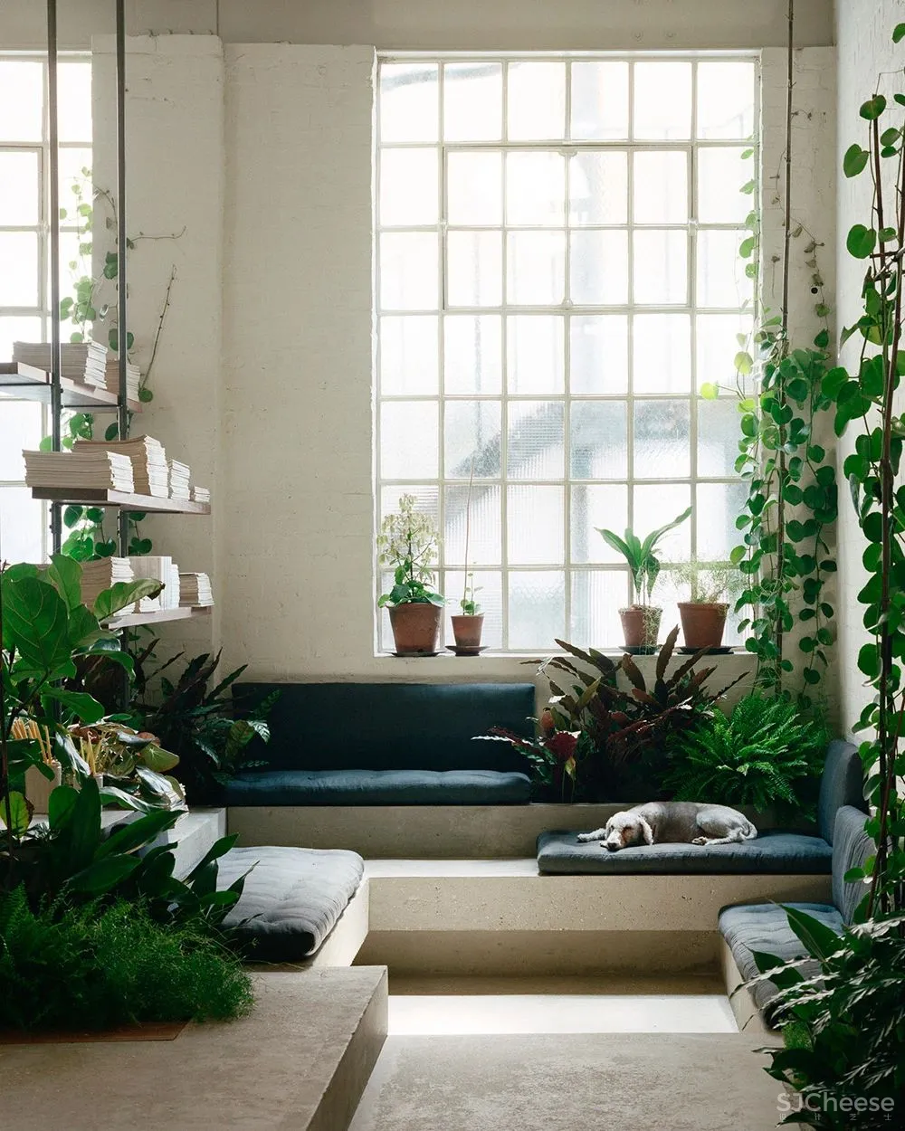 光影下的混凝土之舞 照明设计PSLab伦敦总部展示兼办公设计欣赏