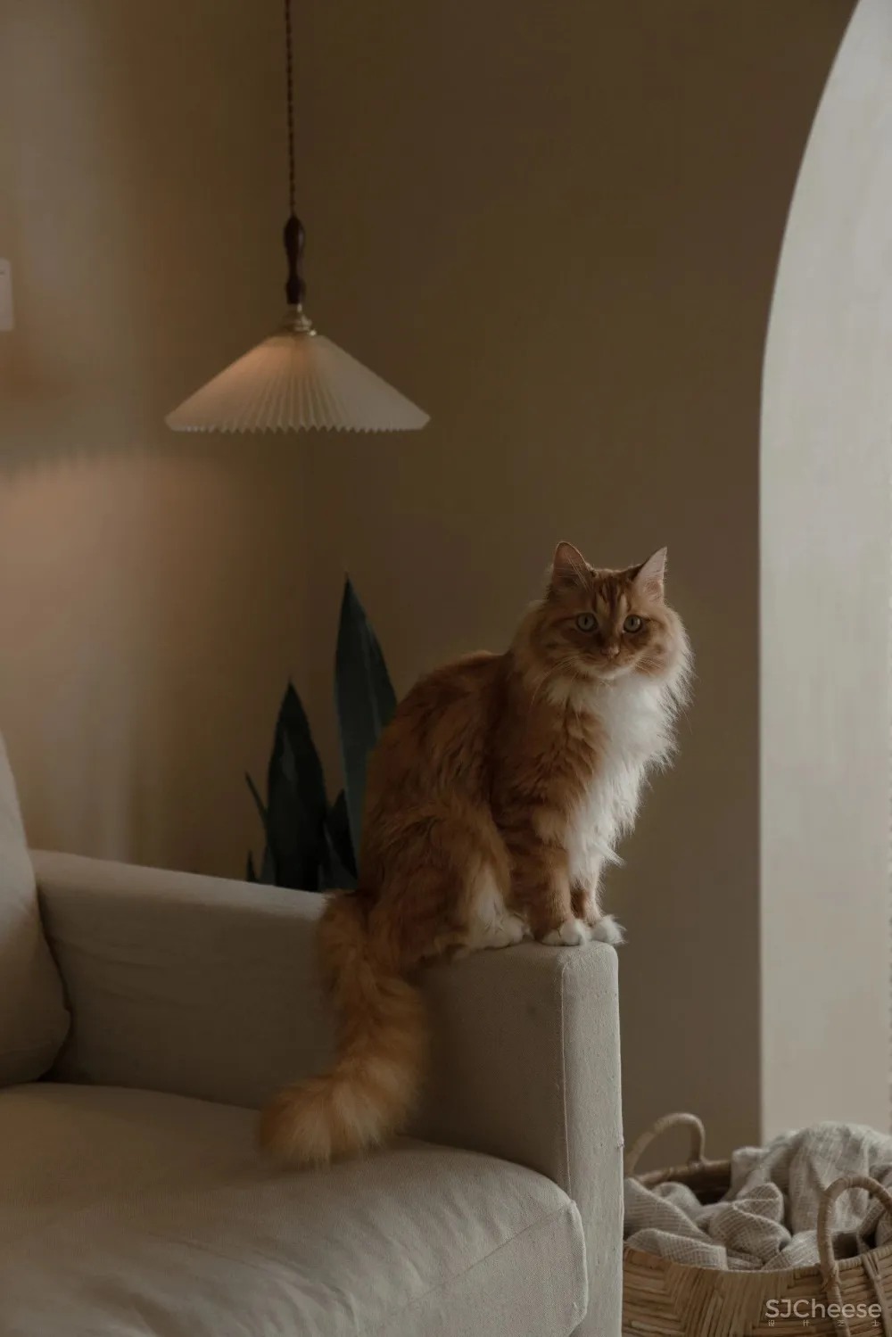 奶茶味儿的88㎡日系侘寂风,谁看谁心动